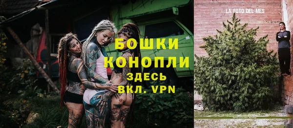 крисы Абаза
