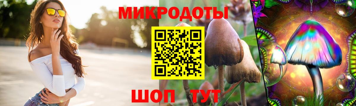 Рассказово  Псилоцибиновые грибы мухоморы  Вход с VPN 
